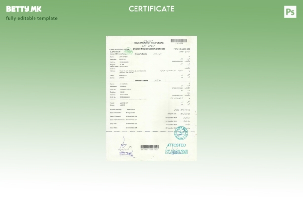 Модерен стил индиската влада на шаблонот за потврда за развод на Пенџаб